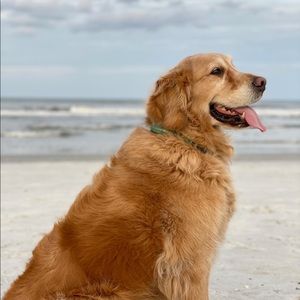 Meet your Posher, Ali